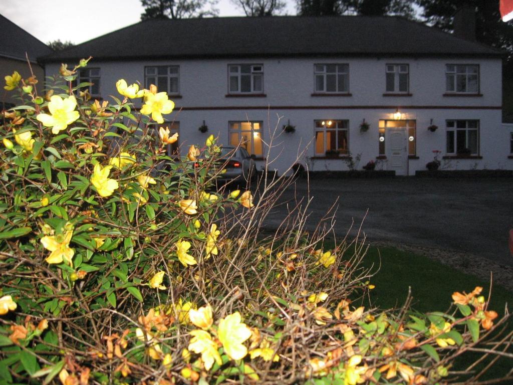 Woodlawn House Hotel Killarney Eksteriør billede